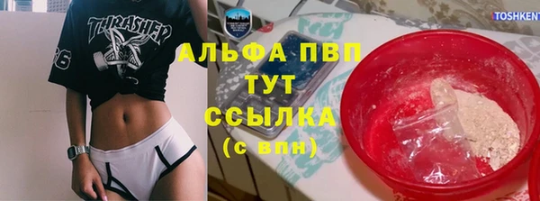 гашик Алексин