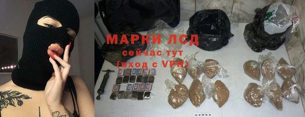 гашик Алексин