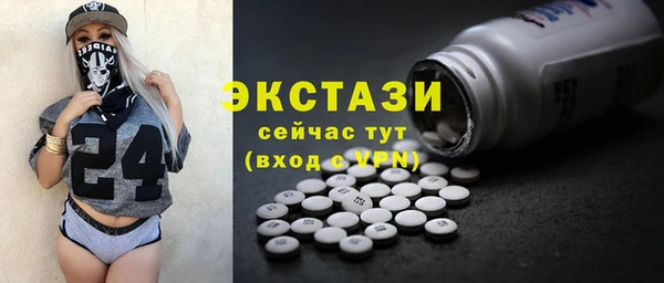 гашик Алексин