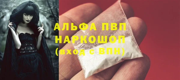 стафф Алзамай