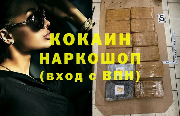 стафф Алзамай