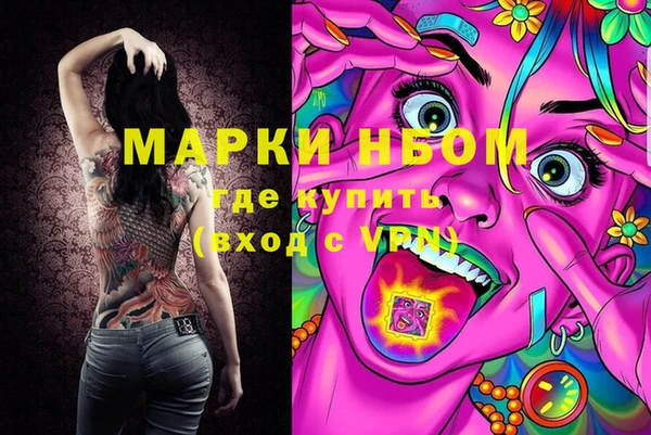 гашик Алексин