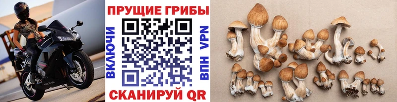 Псилоцибиновые грибы Magic Shrooms  наркотики  Шелехов 